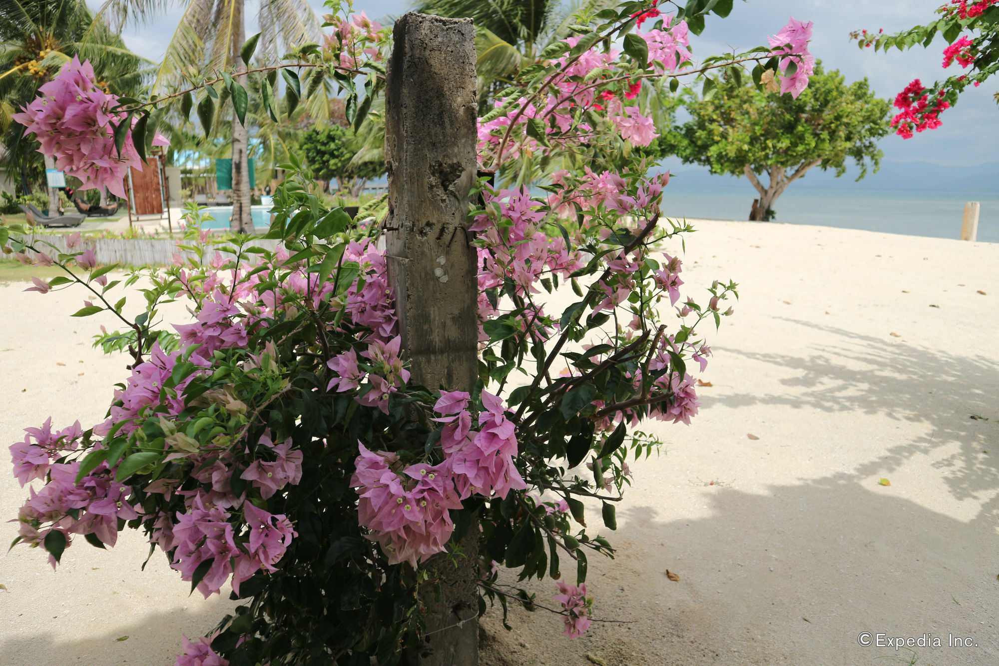 Dos Palmas Island Resort & Spa Пуэрто-Принцеса Экстерьер фото
